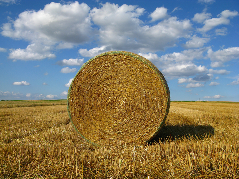 Hay bales